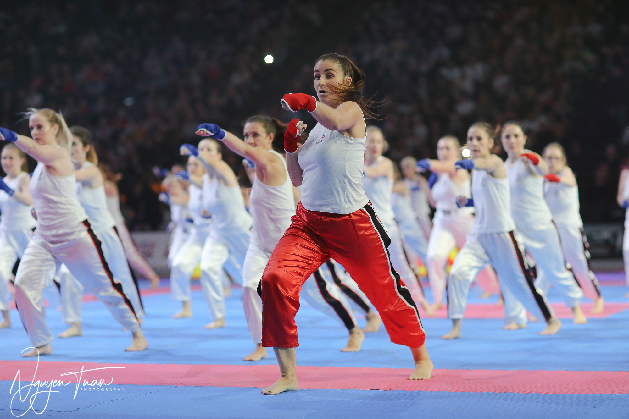 20190324 Festival des Arts Martiaux 2075